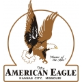American Eagle Aircraft Logo,Decal,Stickers!